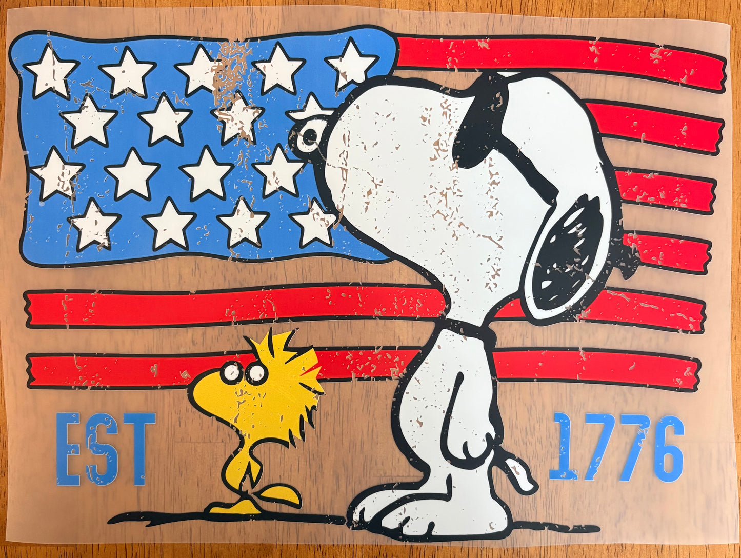 “Snoop america”