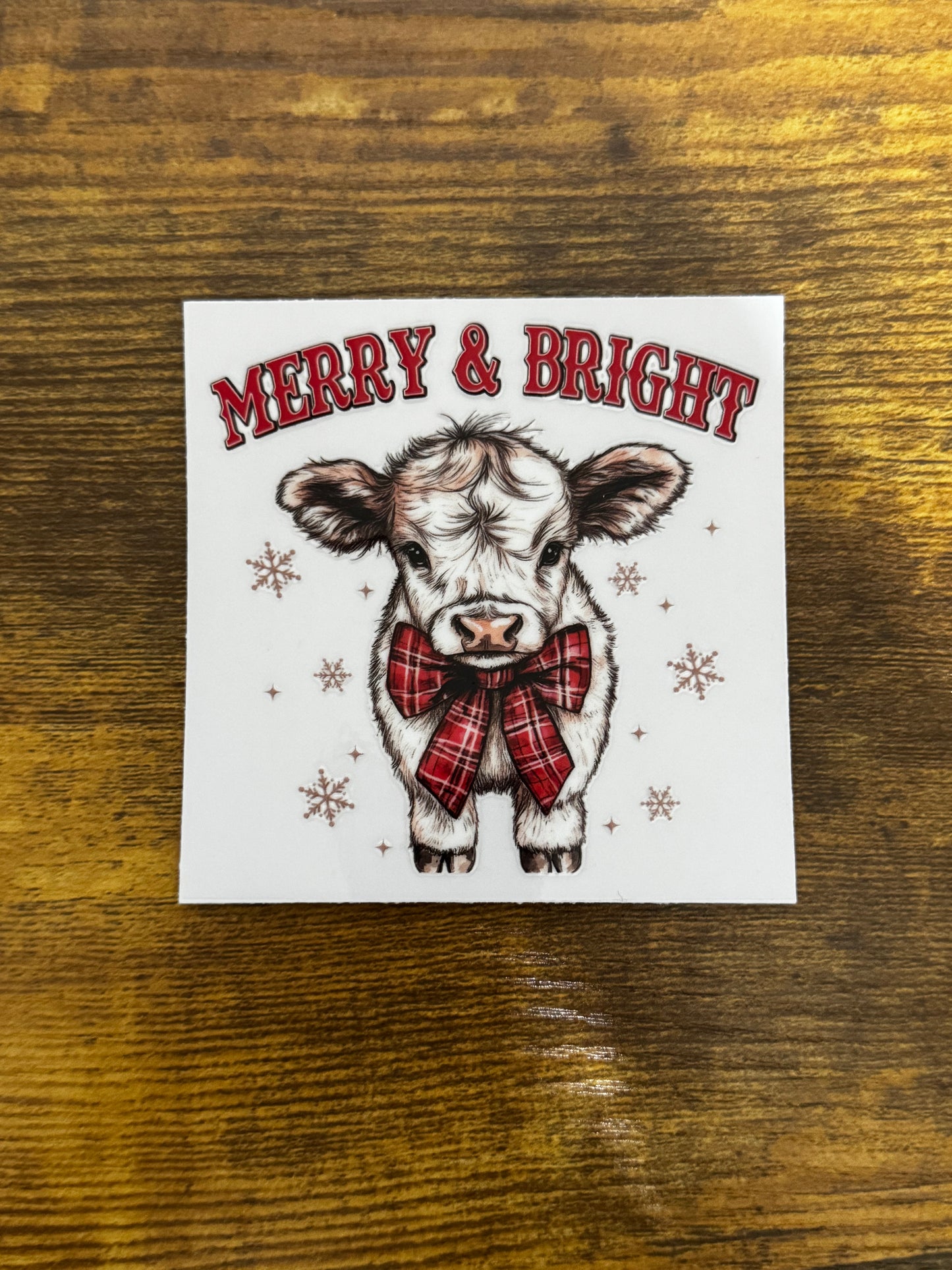 “Merry & Bright” Decal