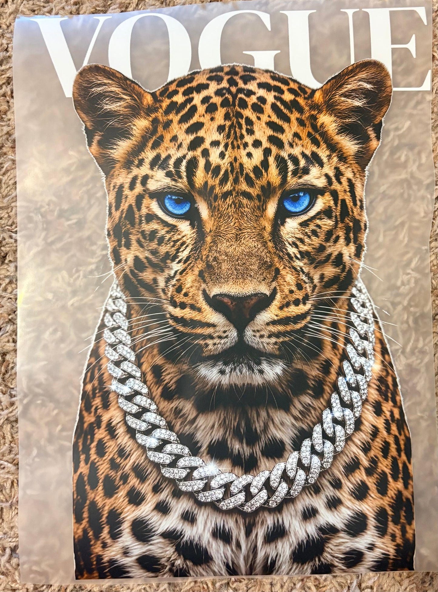 “V leopard”