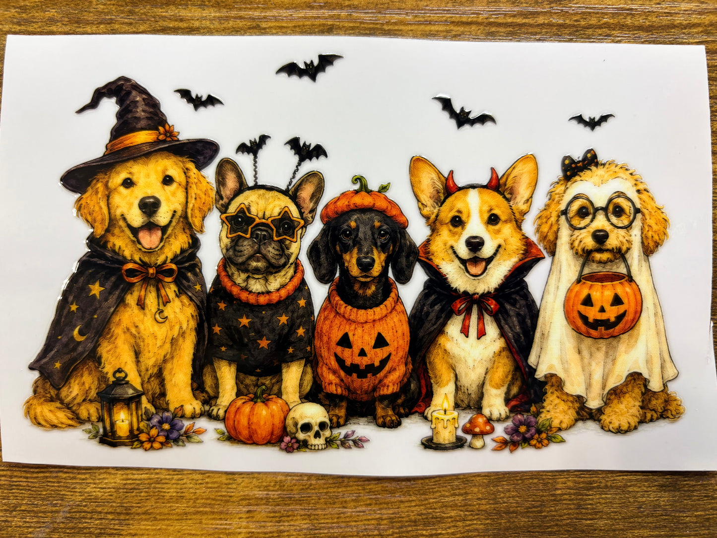 “Halloween dogs” Decal
