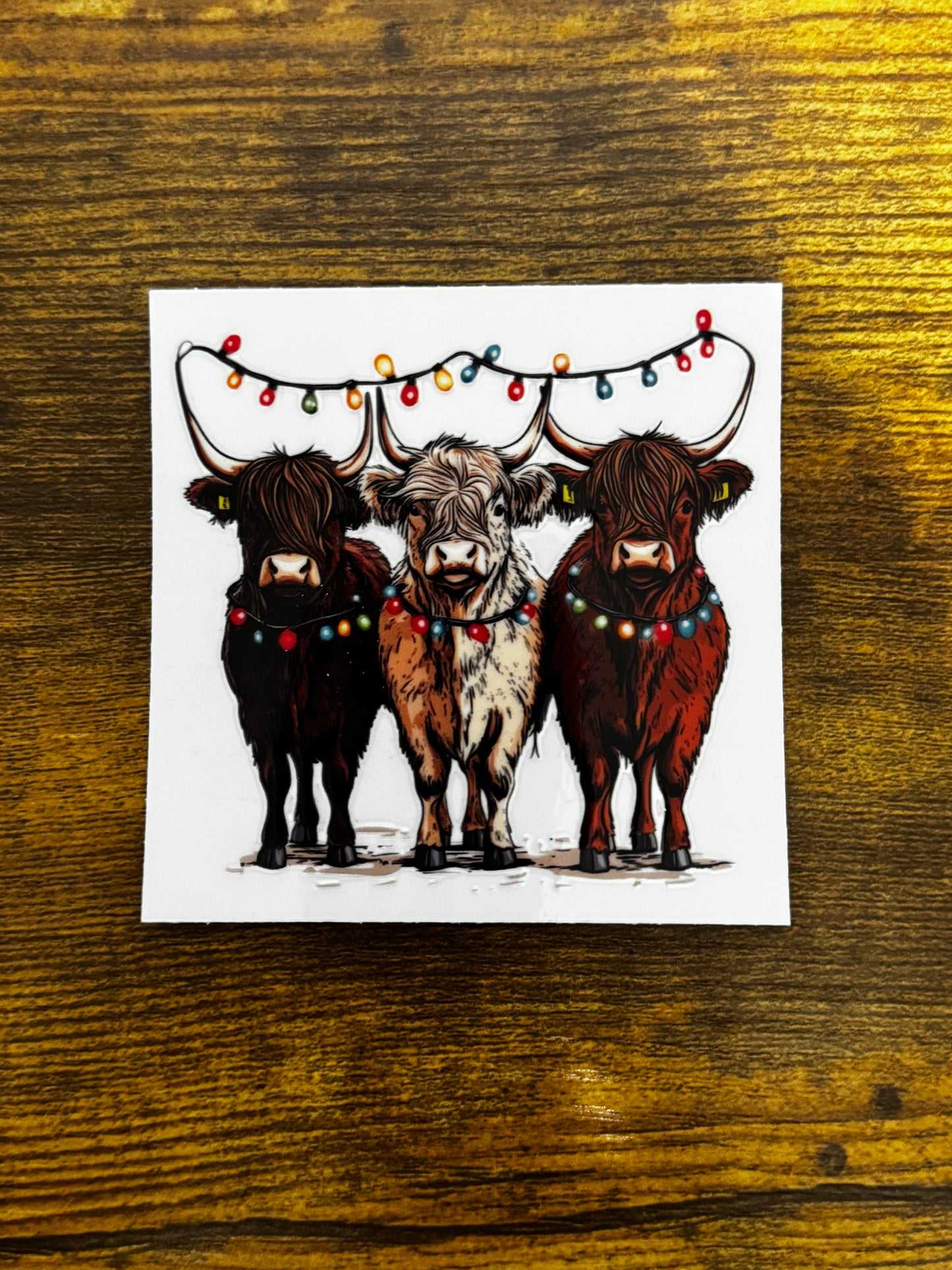 “Highland cows lights” Decal