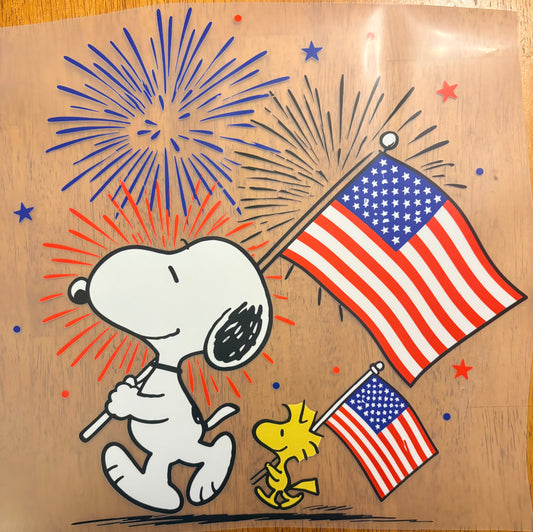 “Snoop USA”