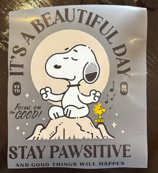 “Stay pawsitive"