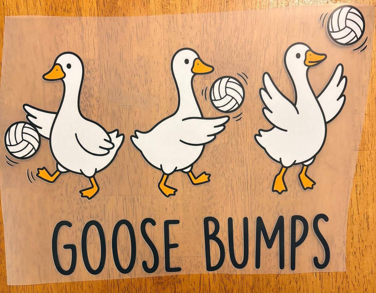 “Goose bumps”
