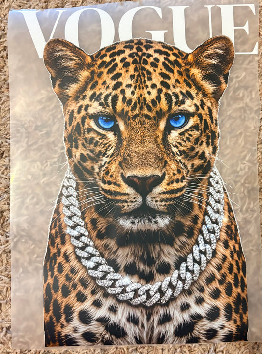“V leopard”