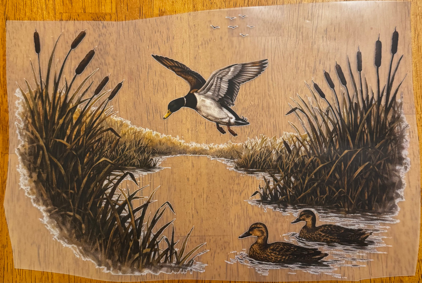 "Duck pond"