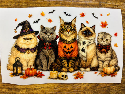 “Halloween cats” Decal