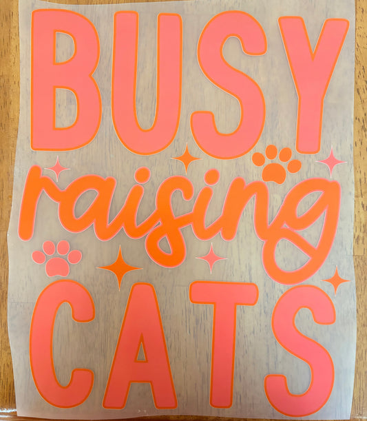 “Busy raising cats”