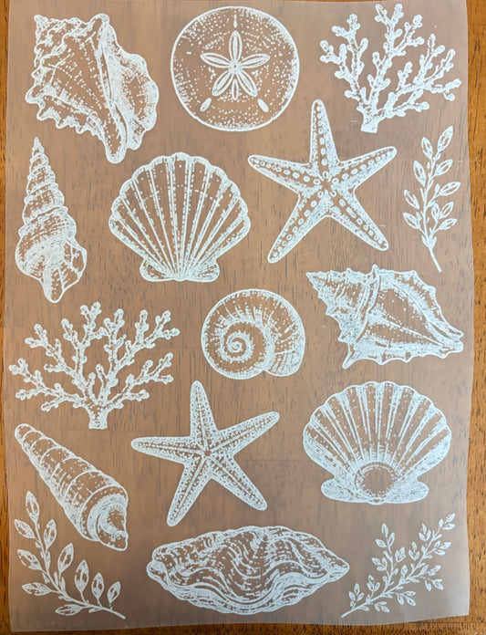 “Summer shells”
