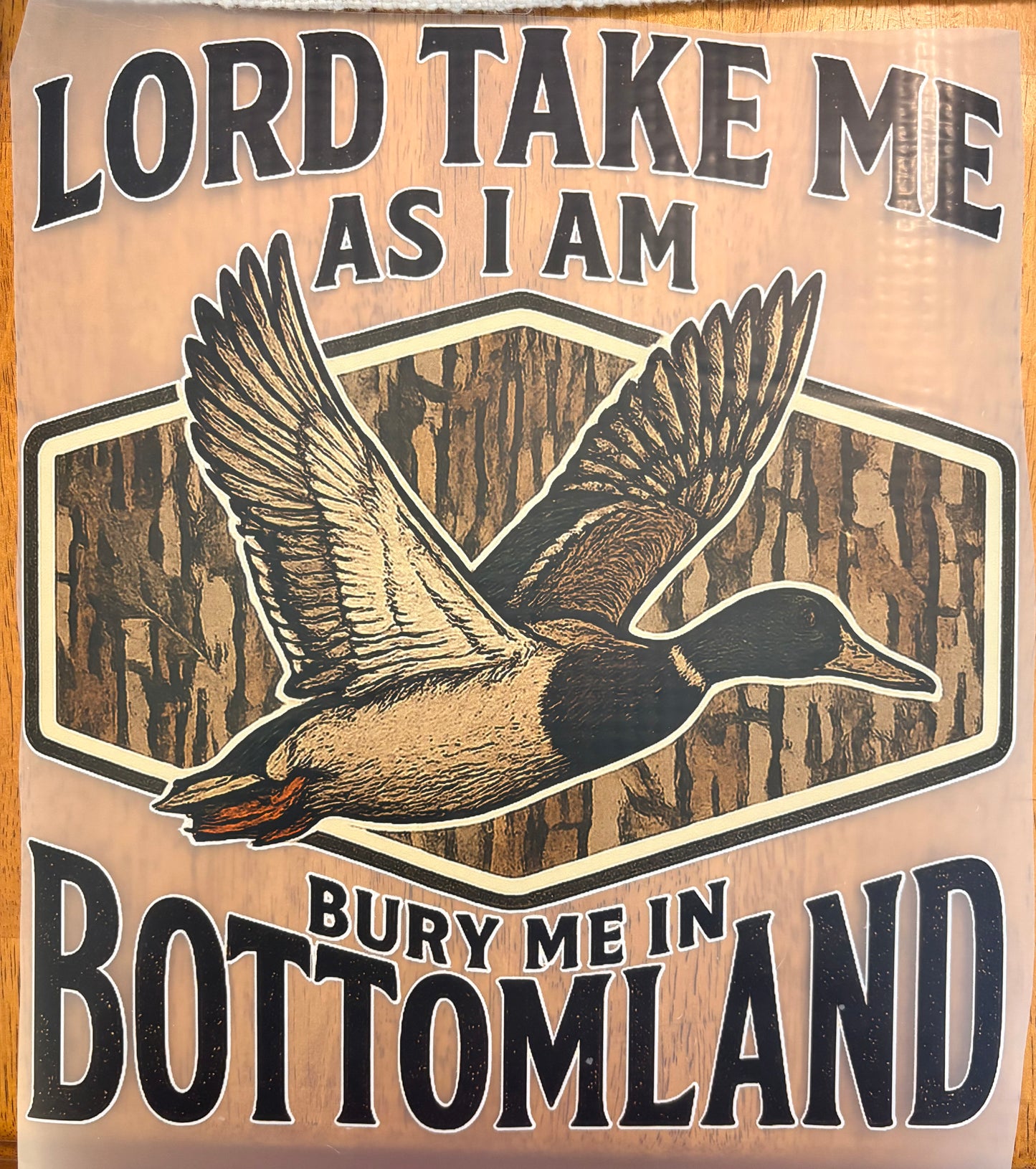 “Lord take me as i am”