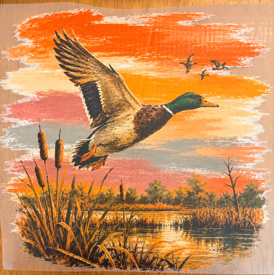 “Flying duck”