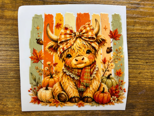 “Fall heifer” Decal