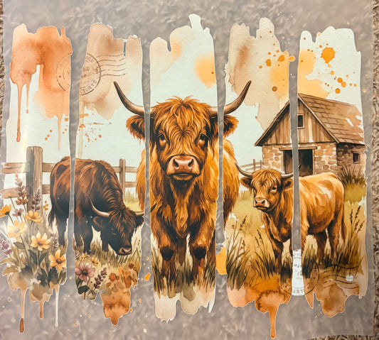 “Highland cow”